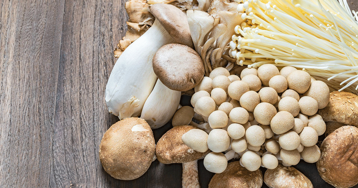 Health Benefits of Eating Mushrooms