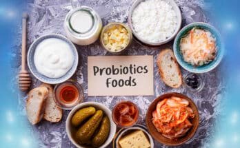 Probiotic Foods Recipes