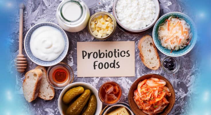 Probiotic Foods Recipes