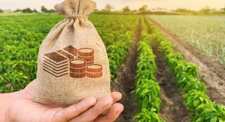 Top Agricultural Loan Programs To Empower Modern Farming
